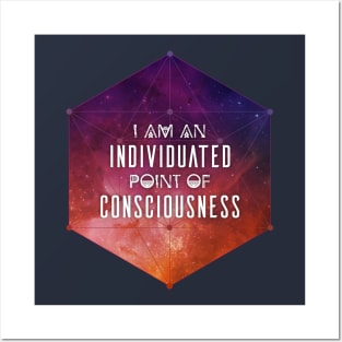 I am Individuated Consciousness Posters and Art